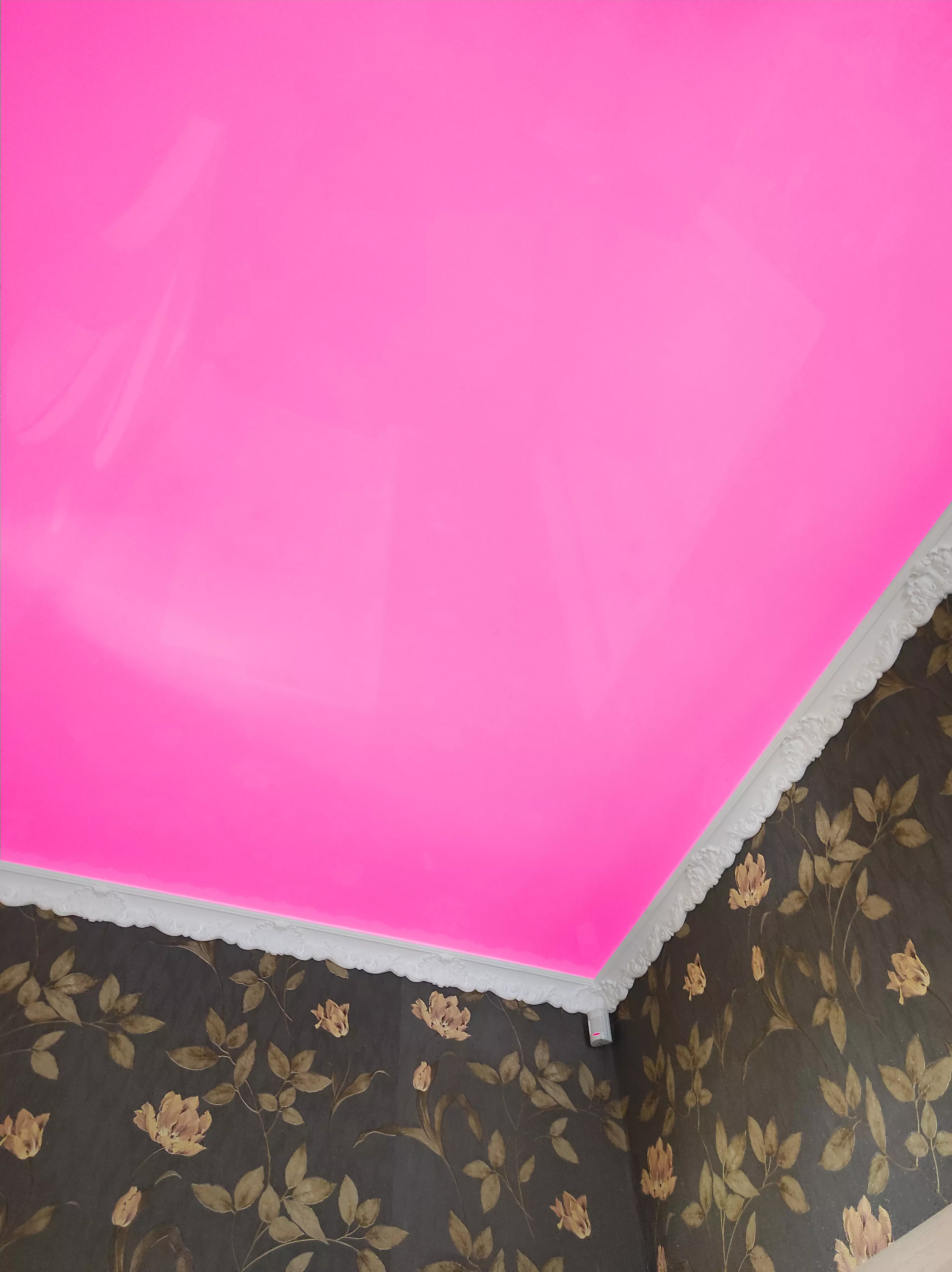 Краснодар, Заполярная, 35 к4, фото 2