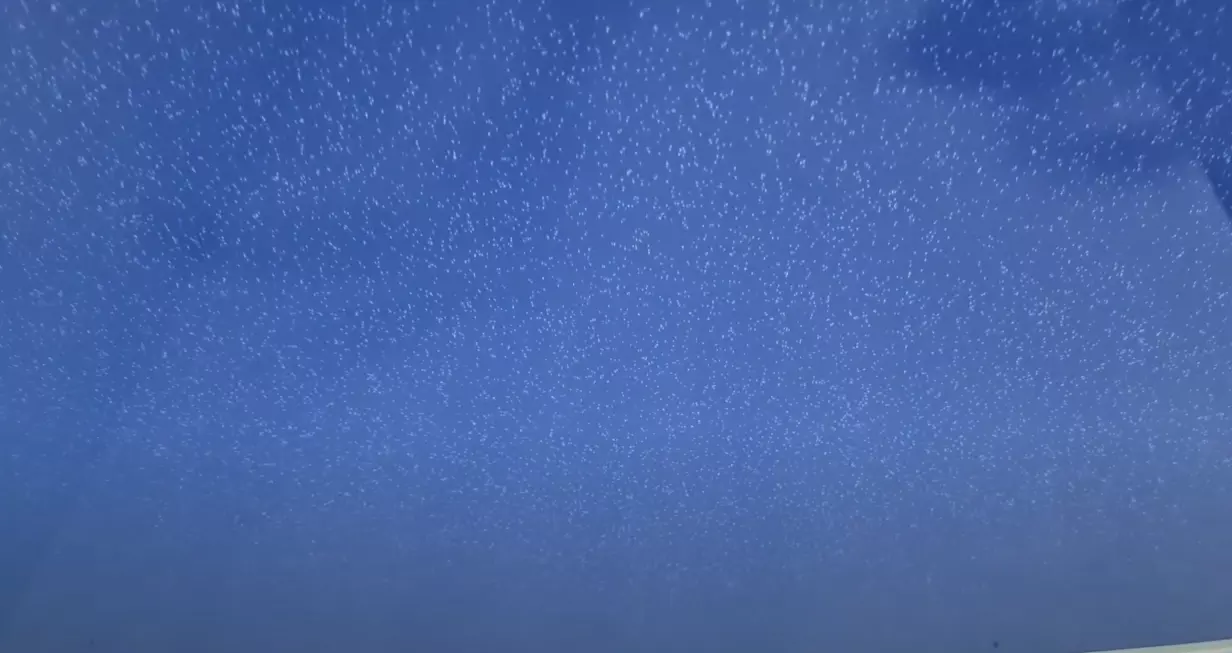 Вологда, Конева, 14, фото 3