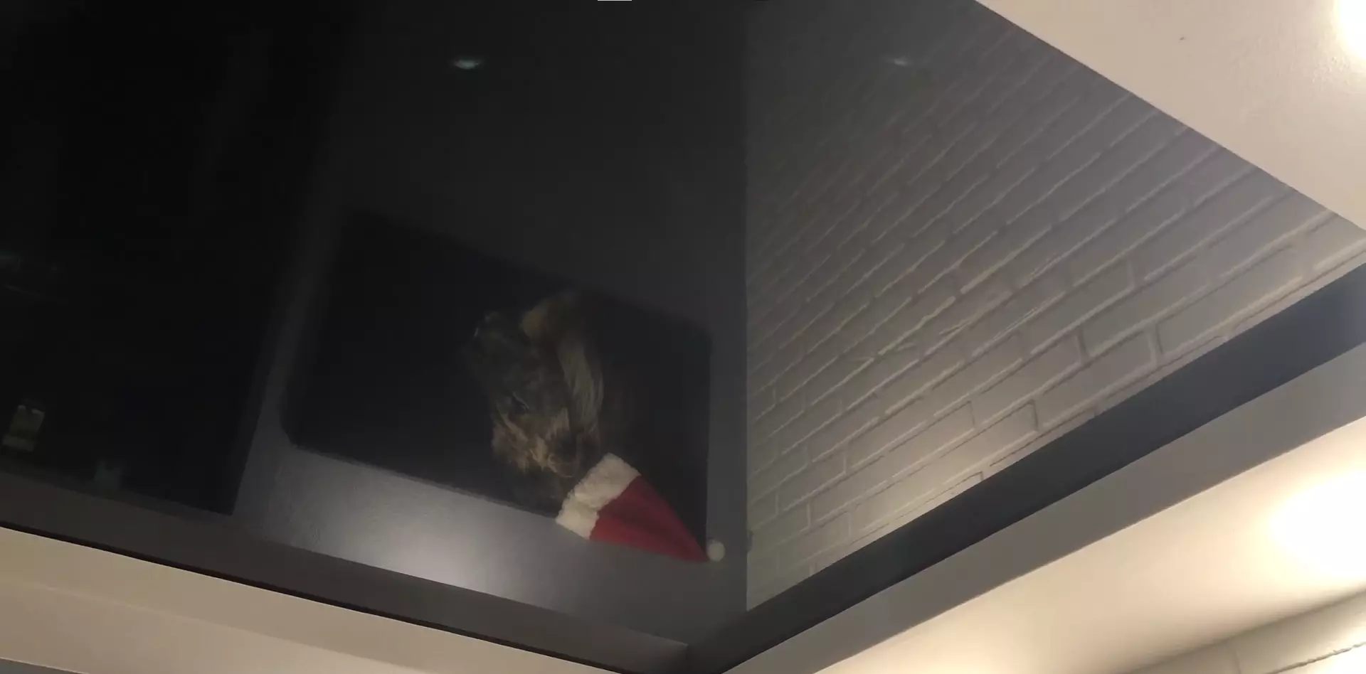 Краснодар, Сормовская, 118/1, фото 3