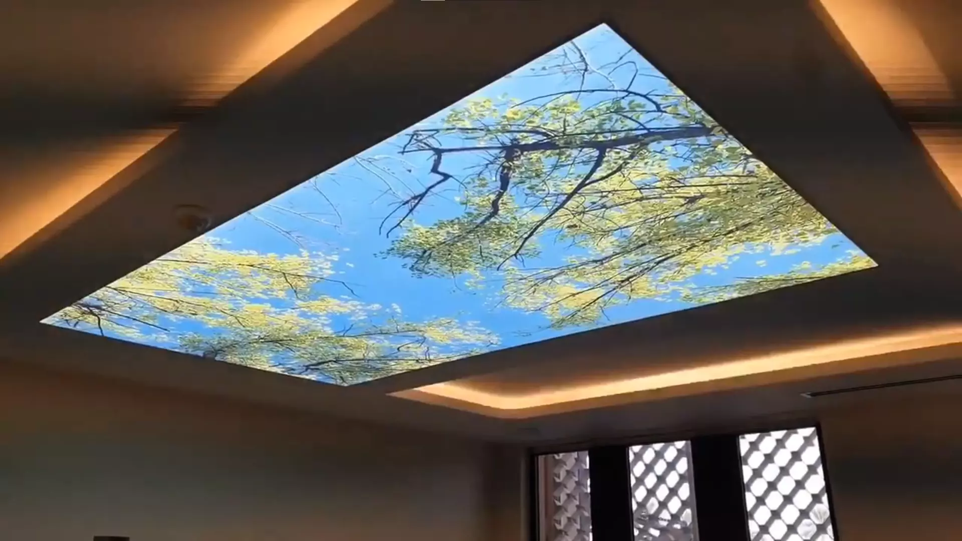 Вологда, Беляева, 10, фото 1