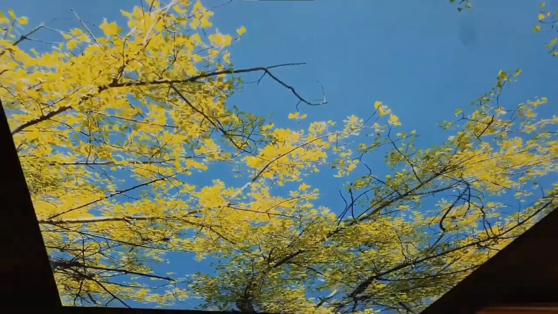 Вологда, Беляева, 10, фото 2