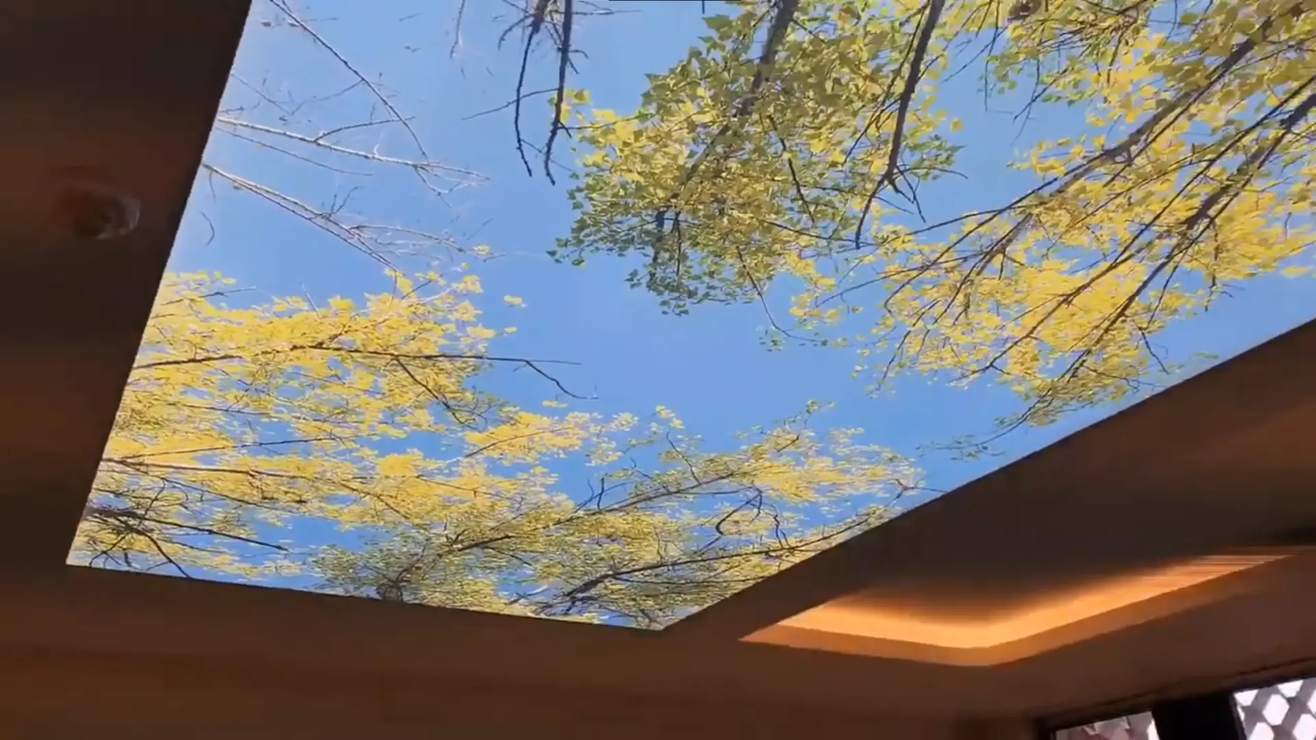 Вологда, Беляева, 10, фото 3