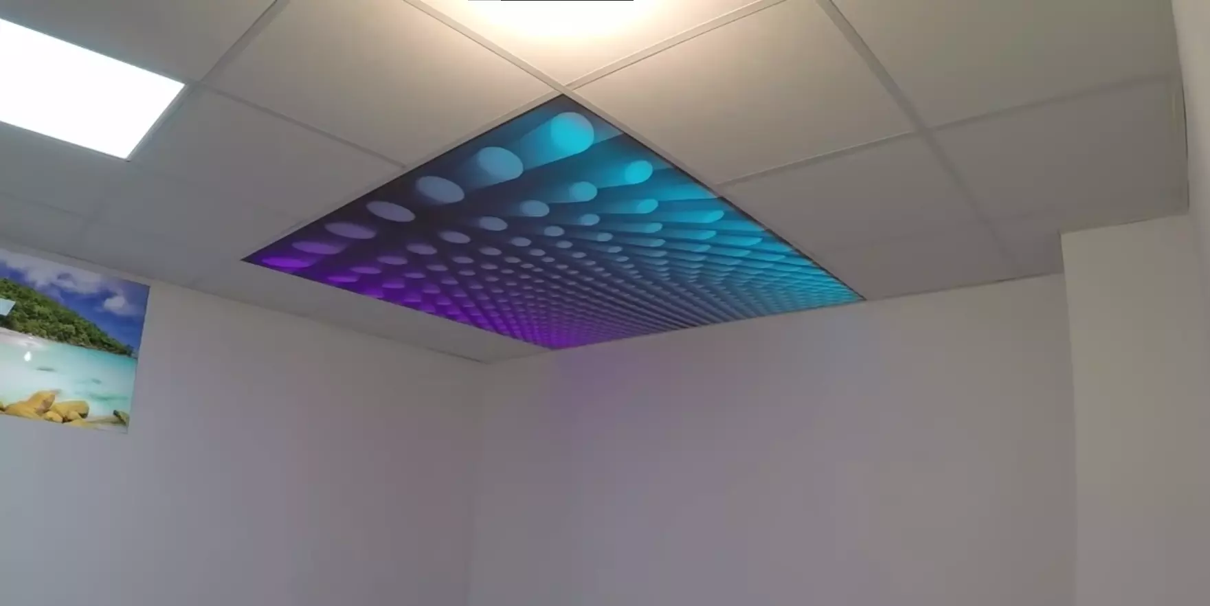 Ялта, , фото 1