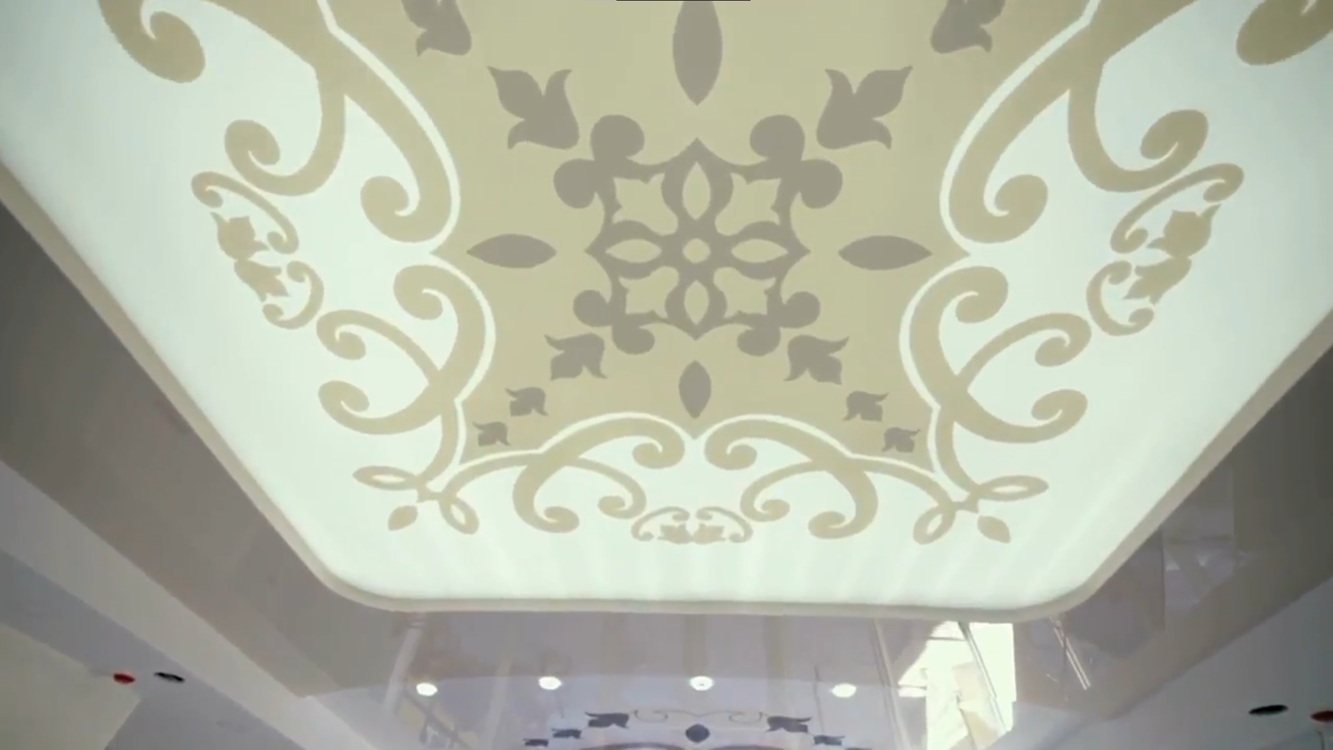 Светопропускающие